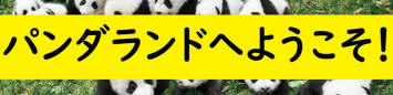 Welcome to the pandaland！